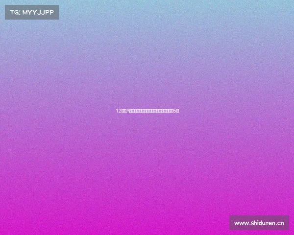 12月粤A车牌竞价结果出炉，个人平均成交价上涨5元